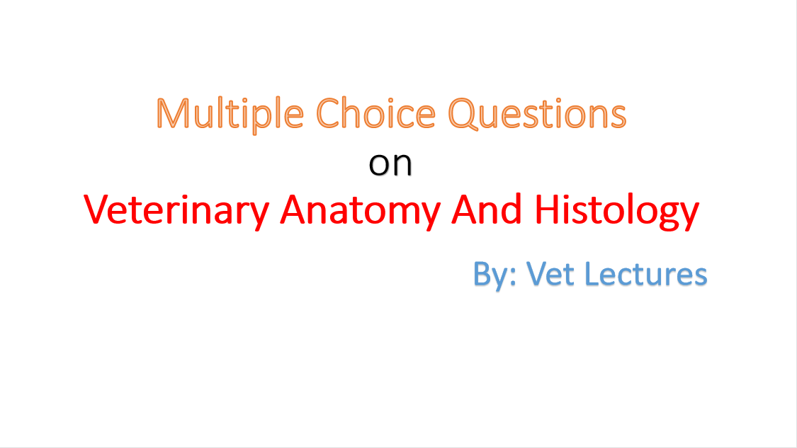 Multiple Choice Questions (MCQ) on Veterinary Anatomy and